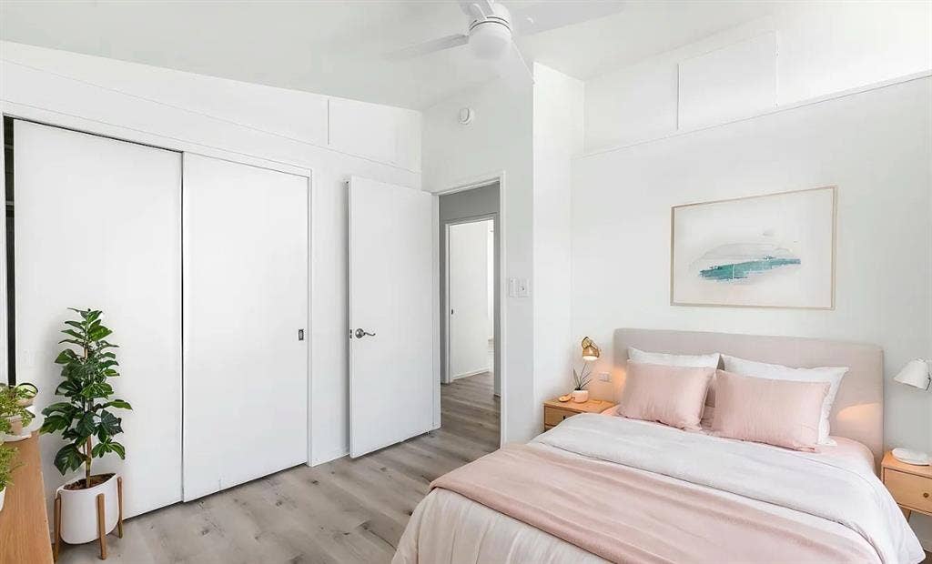 Neat and clean roommate