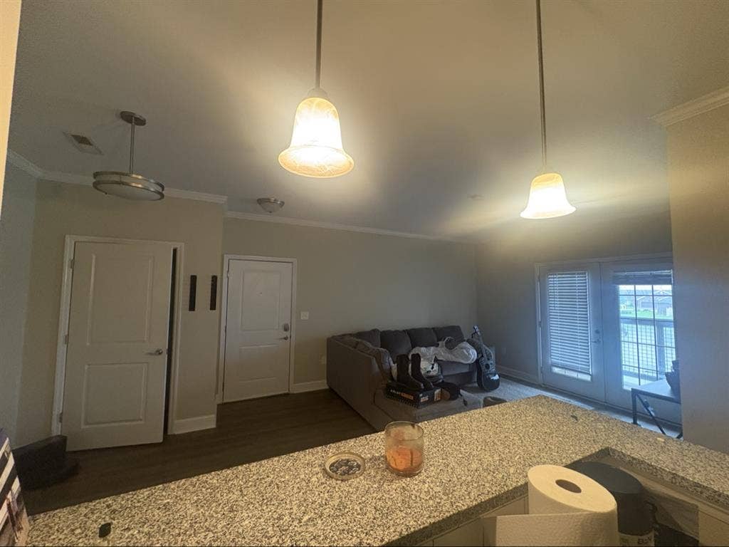 Roommate wanted!