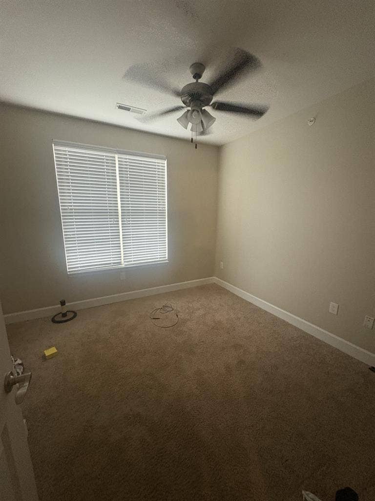 Roommate wanted!