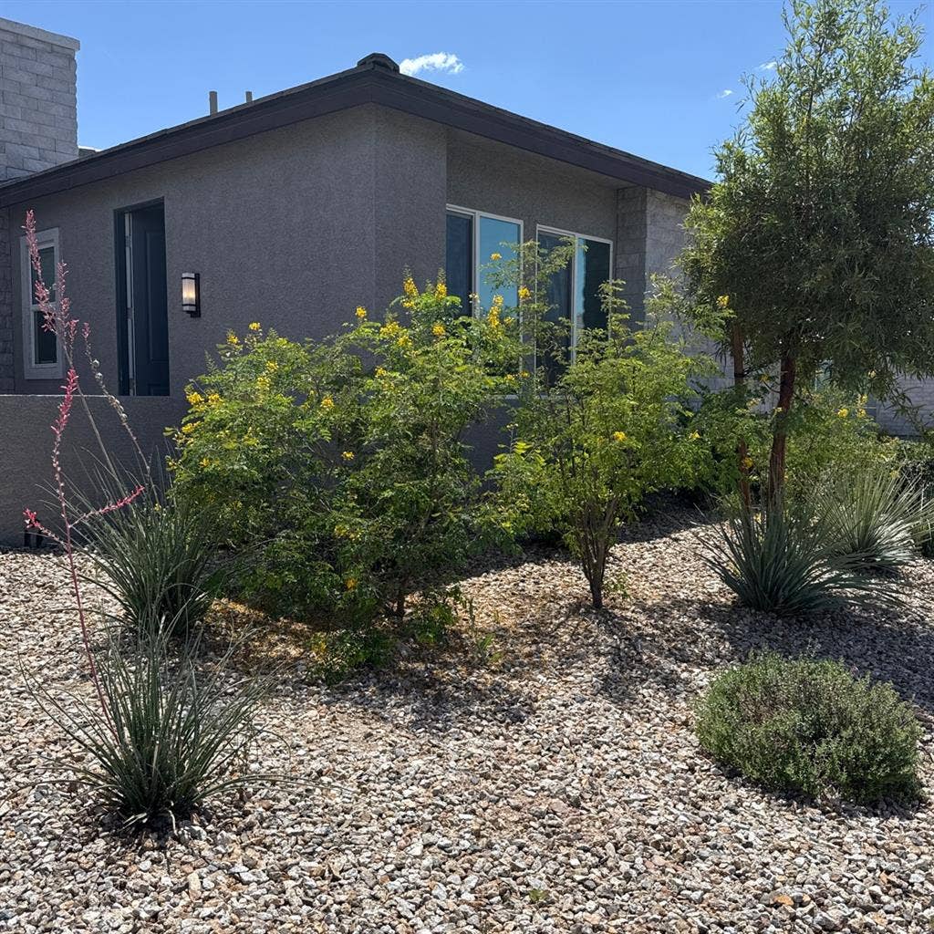 Semi Furnished Studio NLV