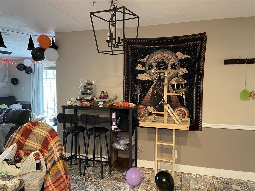 Preferred LGBTQ+ 5th Roommate