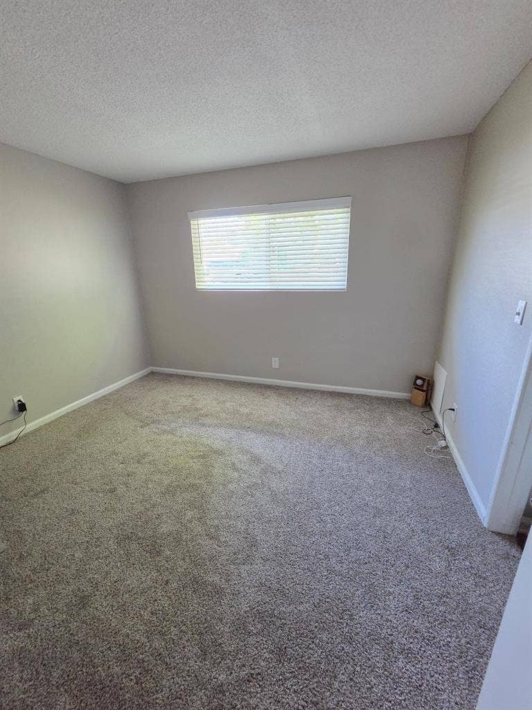 Looking for roomate
