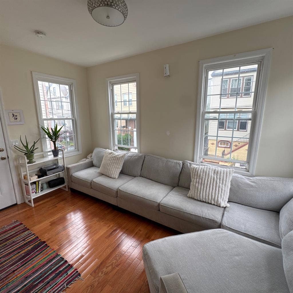 Looking for a roommate