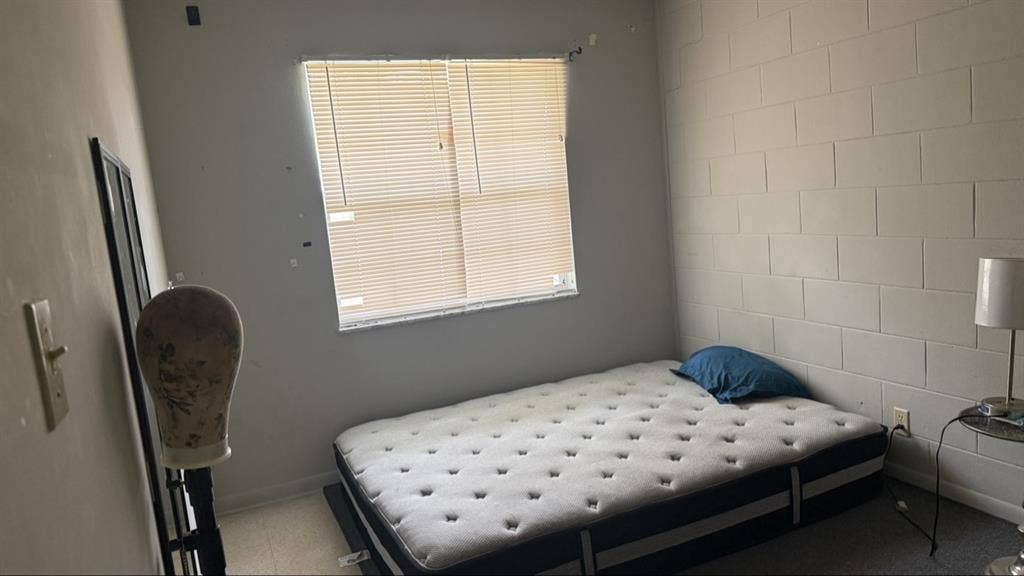 Roommate needed