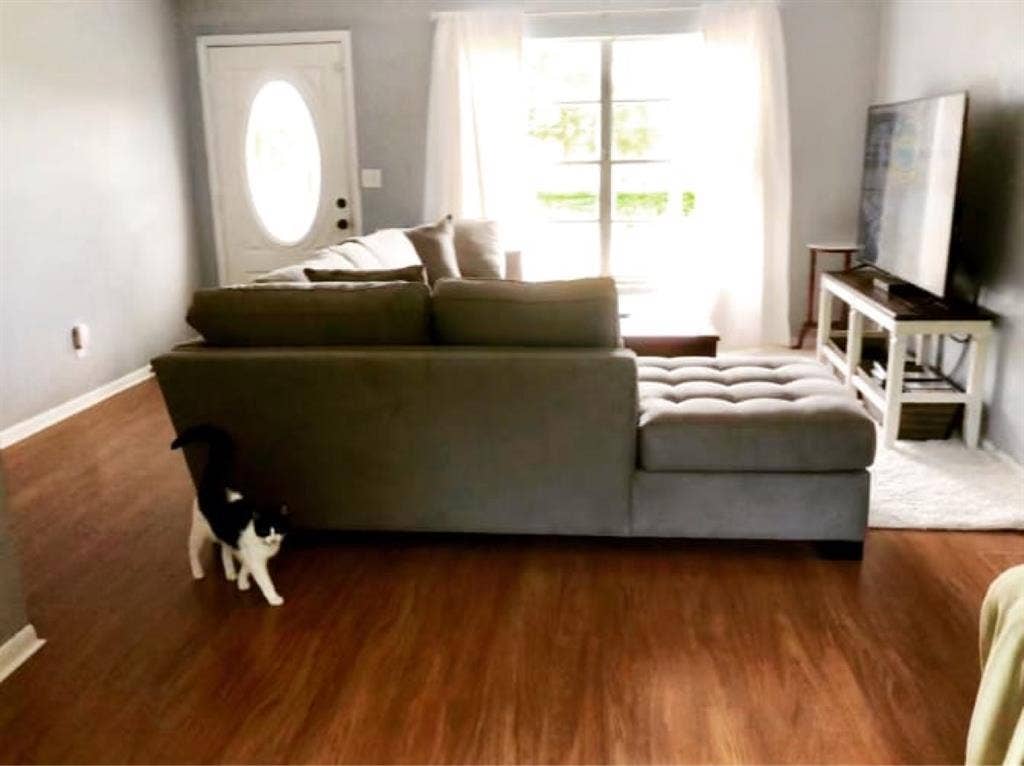 Room for June, Tarpon Springs