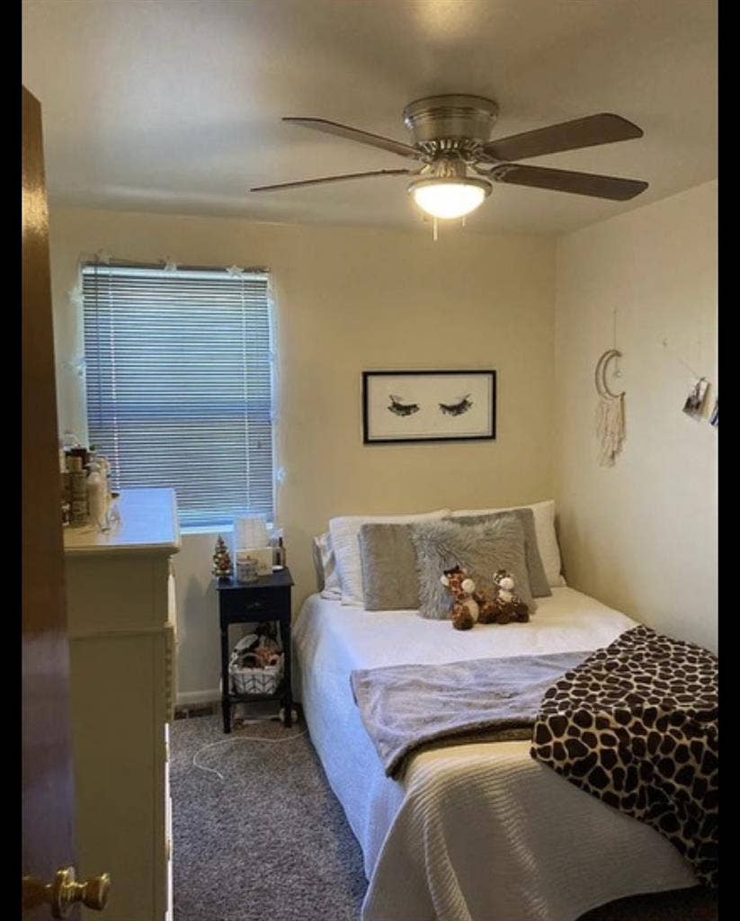 Looking for a 4th Roommate