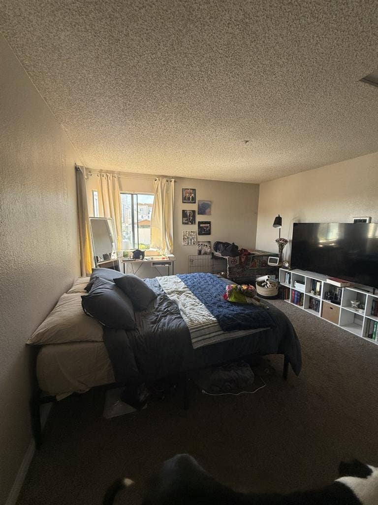 Private room for rent!