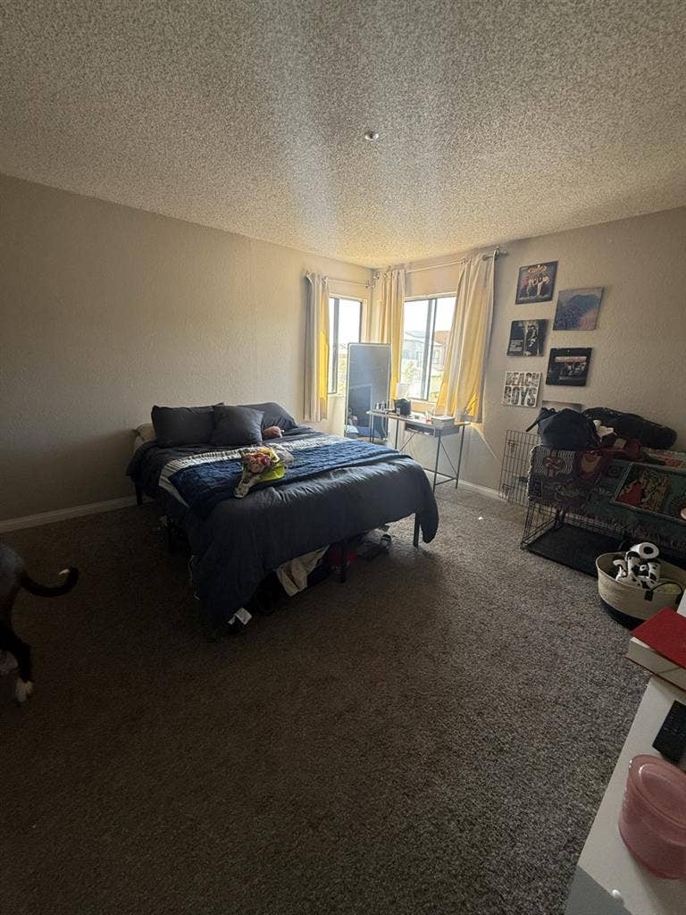 Private room for rent!