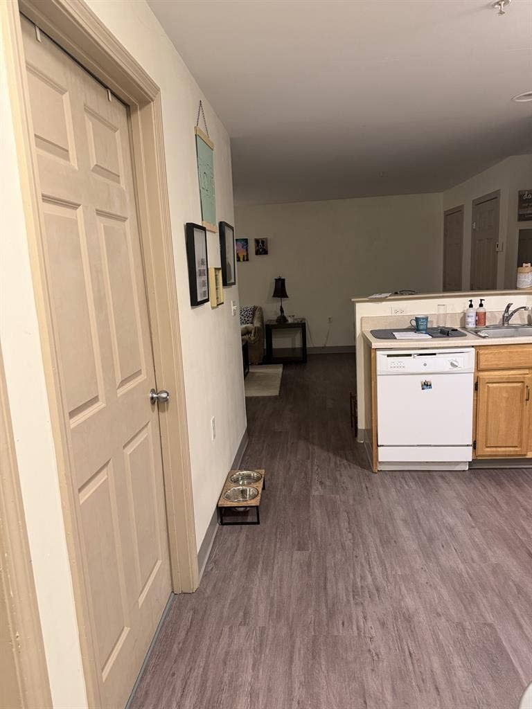 Munjoy hill seeking female roommate