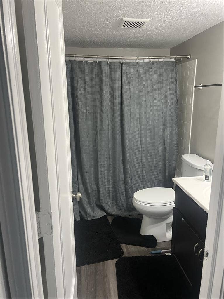 Looking for a roommate
