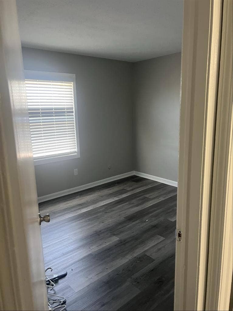 Looking for a roommate