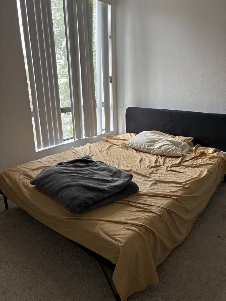 Looking for a roommatee