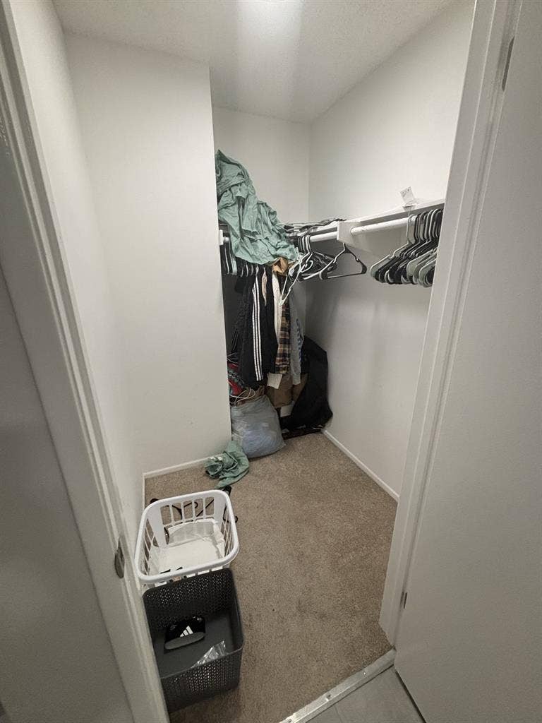 Looking for a roommatee