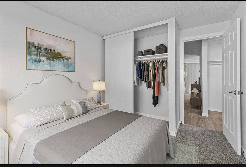 Looking for a roommate