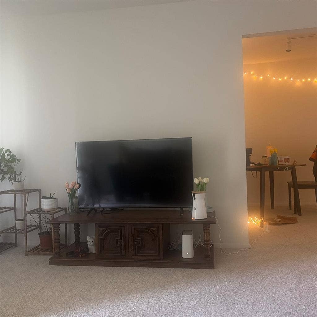 Looking for a female roommate