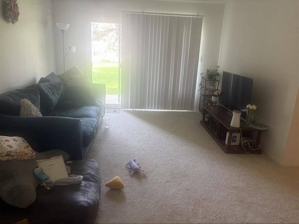 Looking for a female roommate