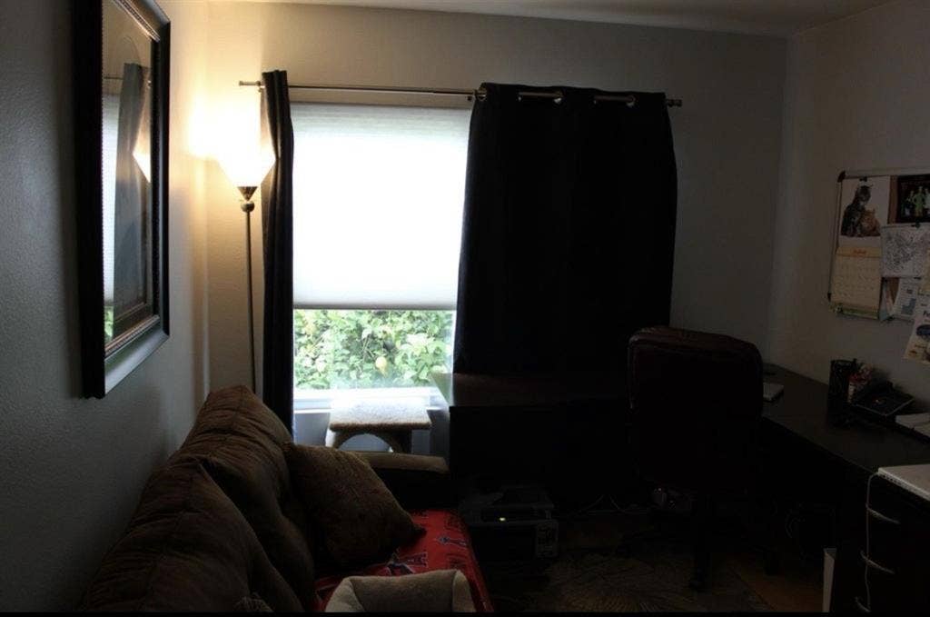 Female Roommate wanted