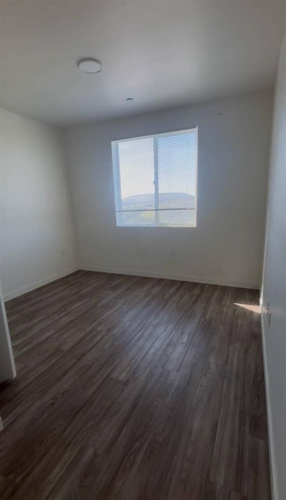 Looking for a roommate