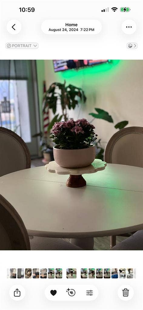 Looking for a roommate