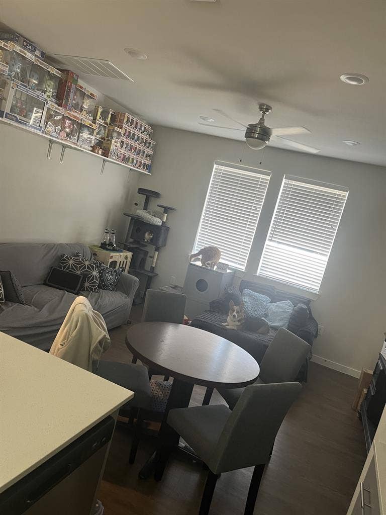 New Listing
