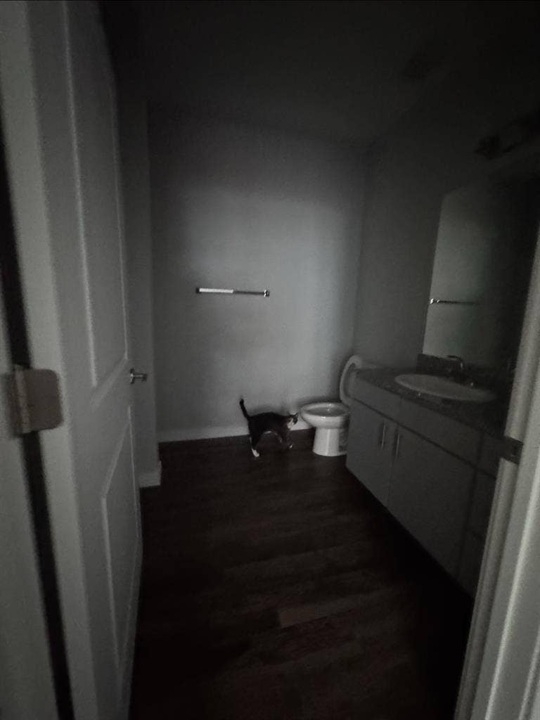 MOVE IN ASAP. 4x4 student housing