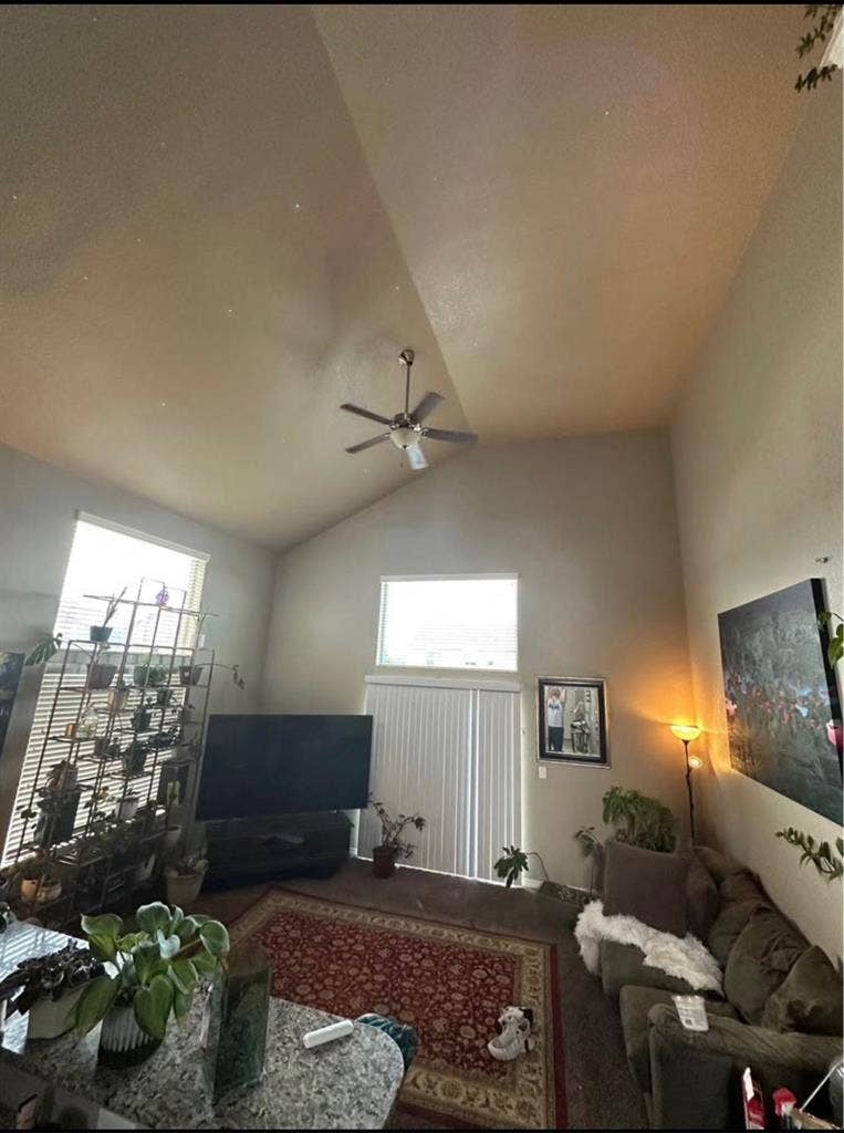 Roomate wanted