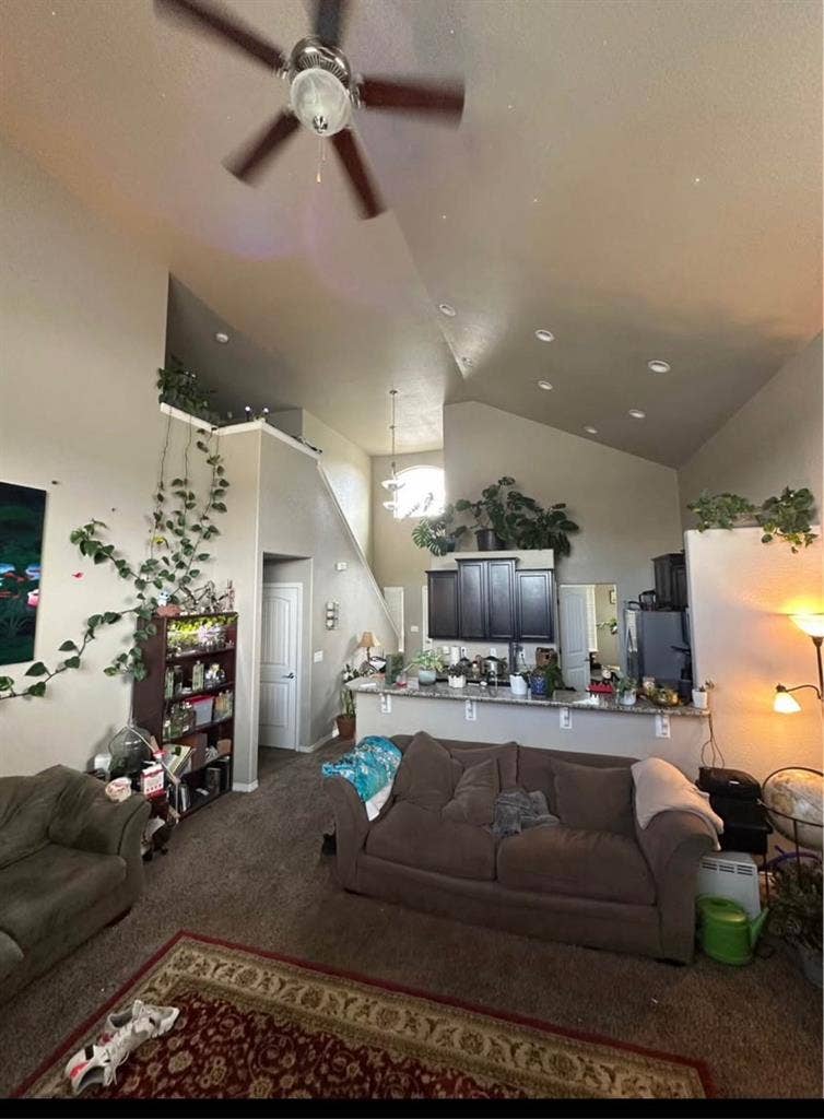 Roomate wanted
