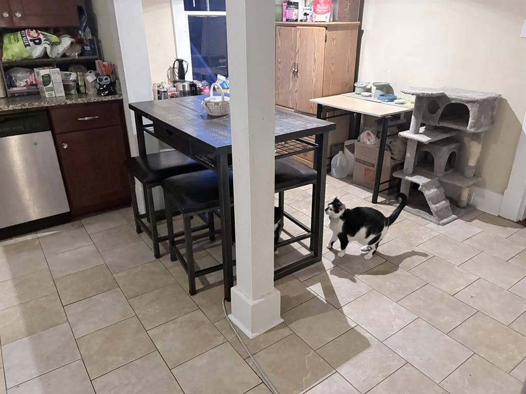 Room for rent - Downtown Savannah!!