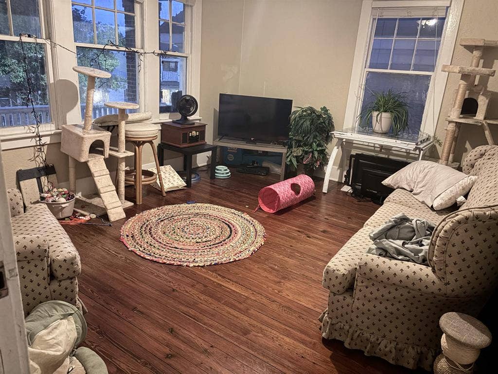 Room for rent - Downtown Savannah!!
