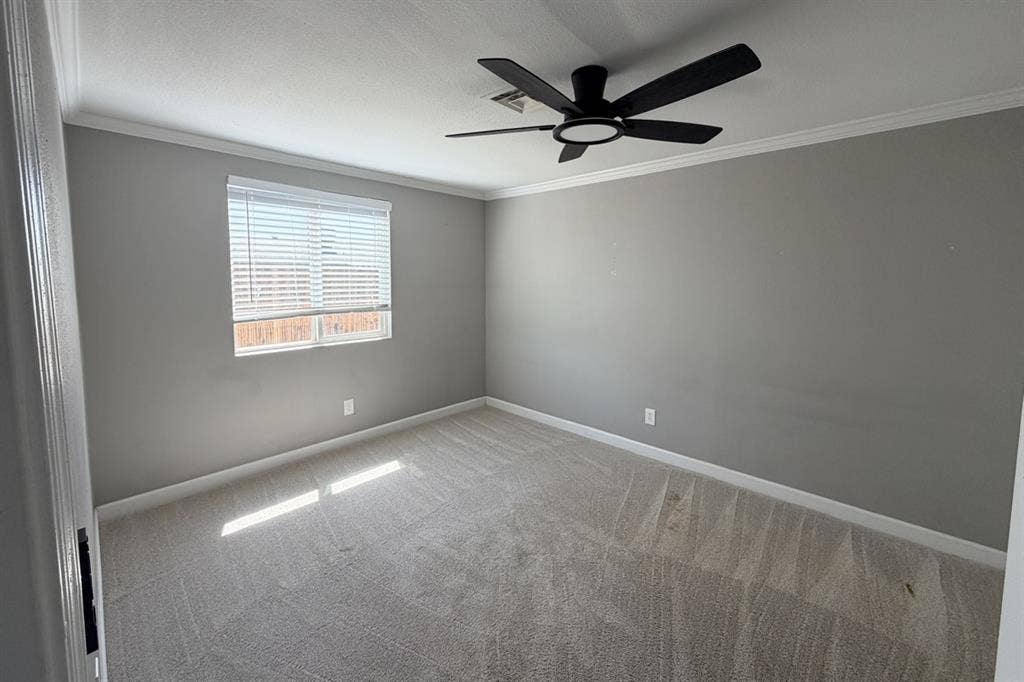 Room for rent, large house w/ pool