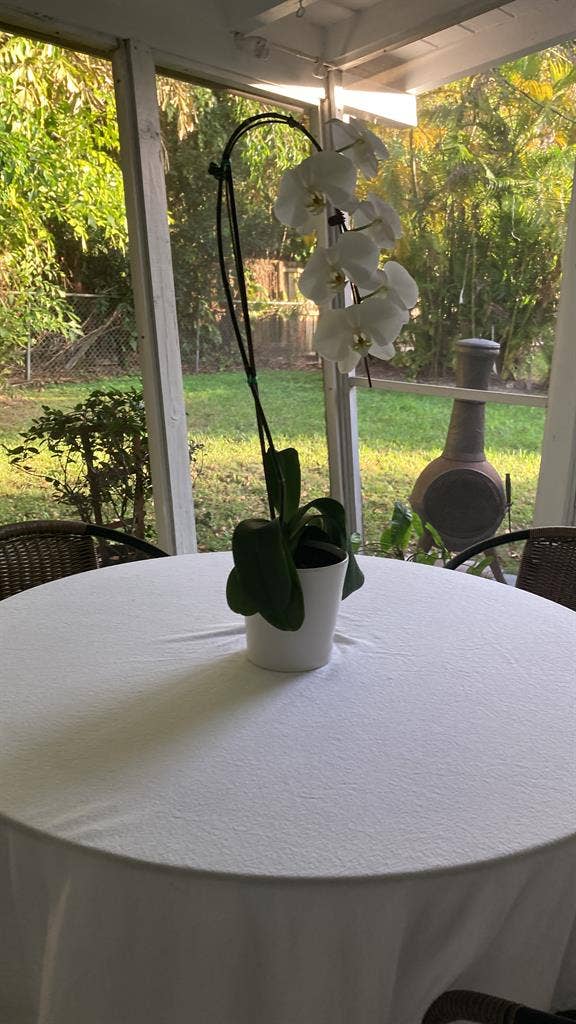 Room for rent in Pinecrest