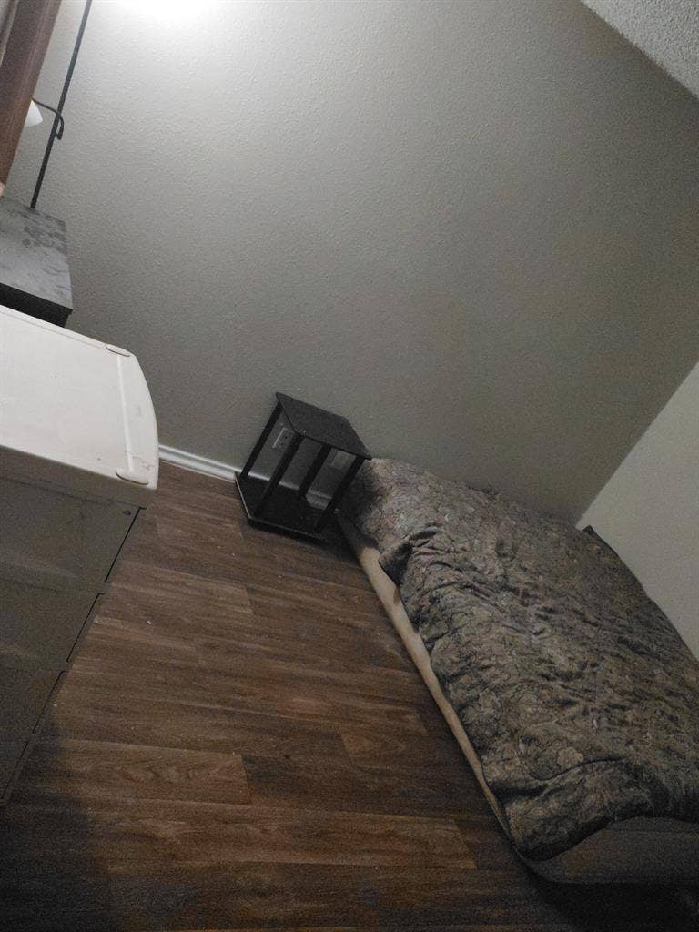 Need a roommate