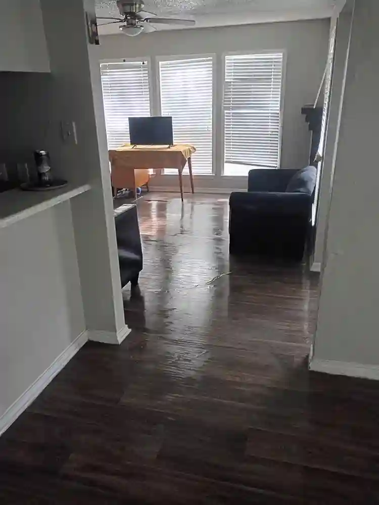 Need a roommate
