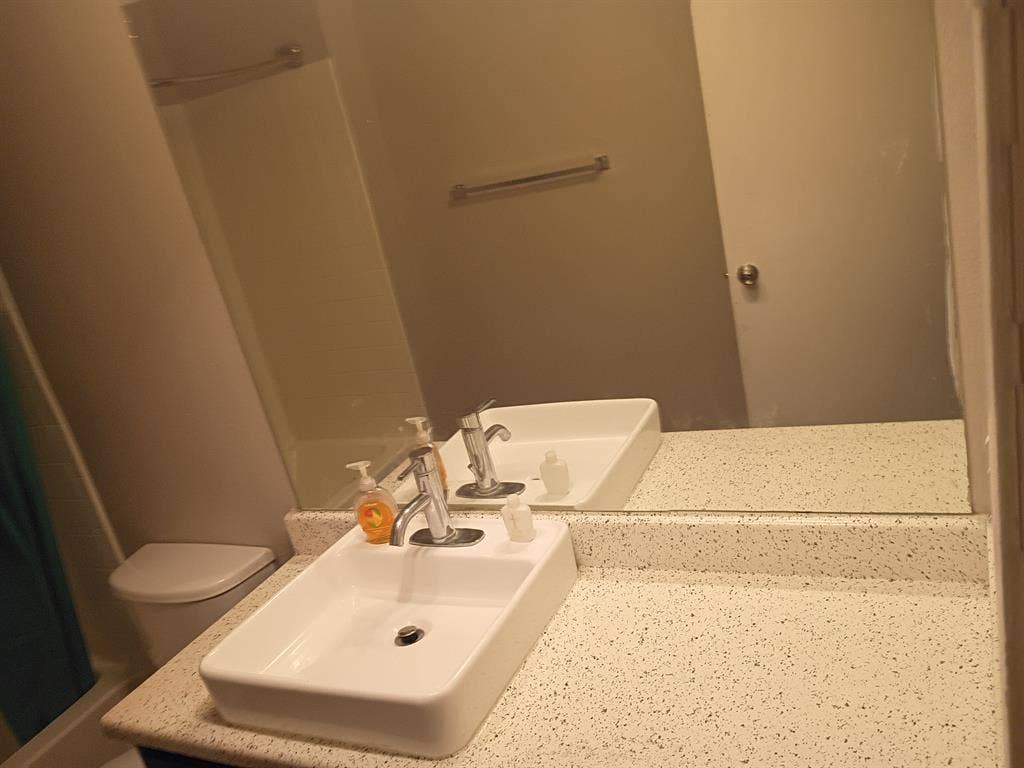 Need a roommate