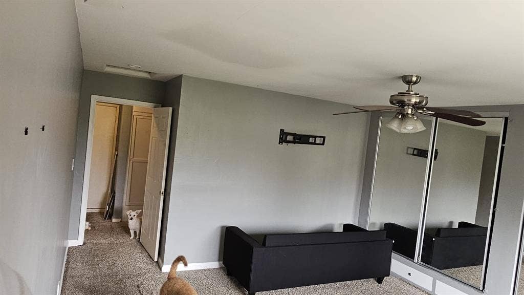 Room for rent
