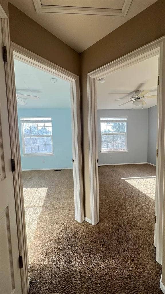 Share 3 Bedroom House