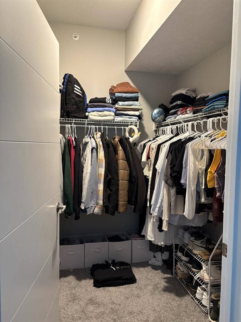 Roommate Wanted (Girls only)