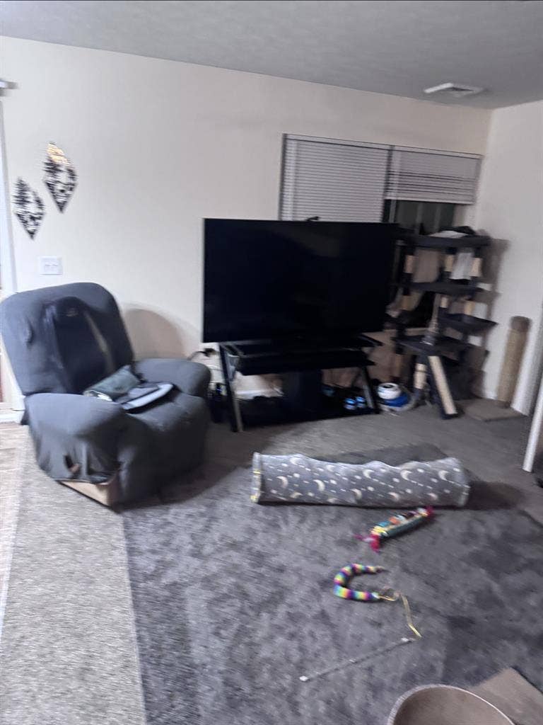 Looking for a roomate