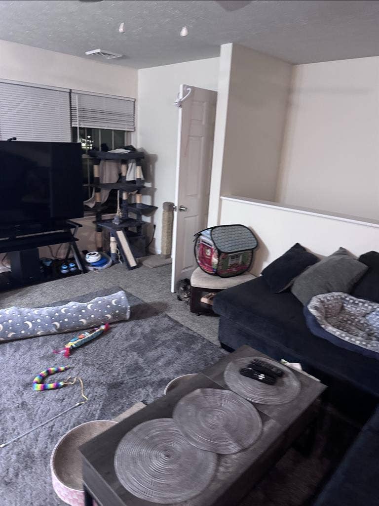 Looking for a roomate