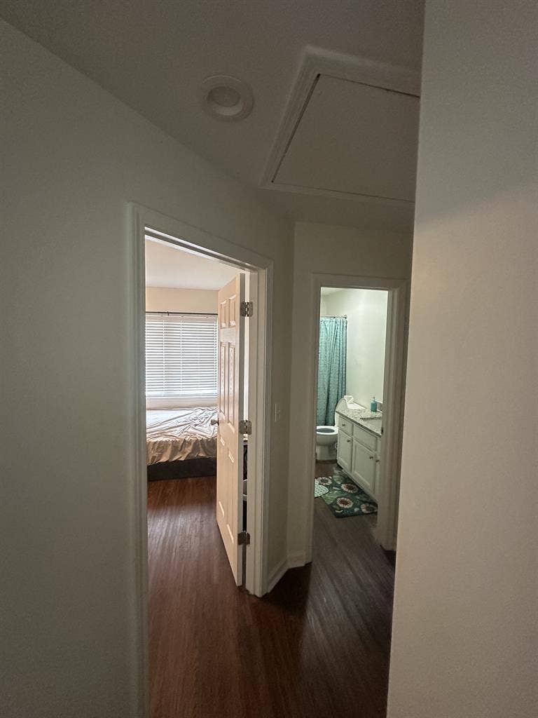 Beautiful private room for rent