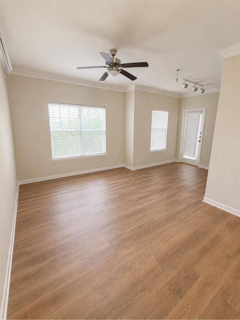 1bd 1bth apartment