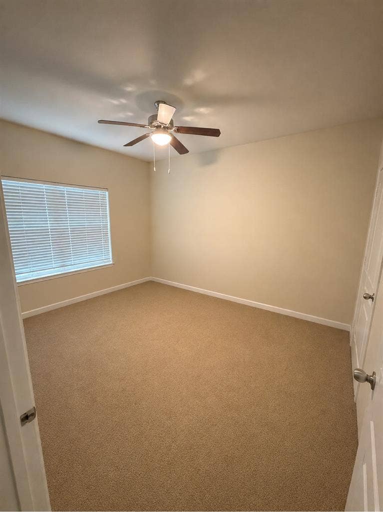 1bd 1bth apartment