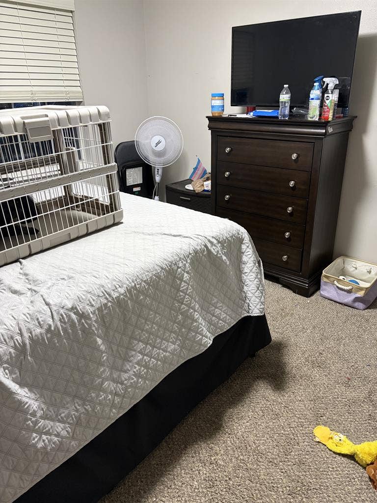 New Listing