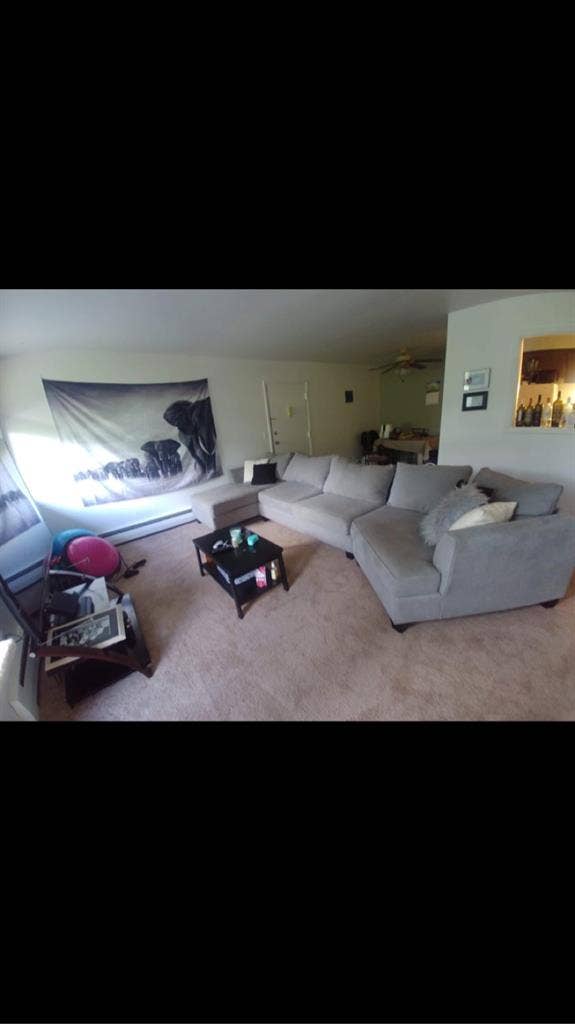 Room available in two bedroom apt