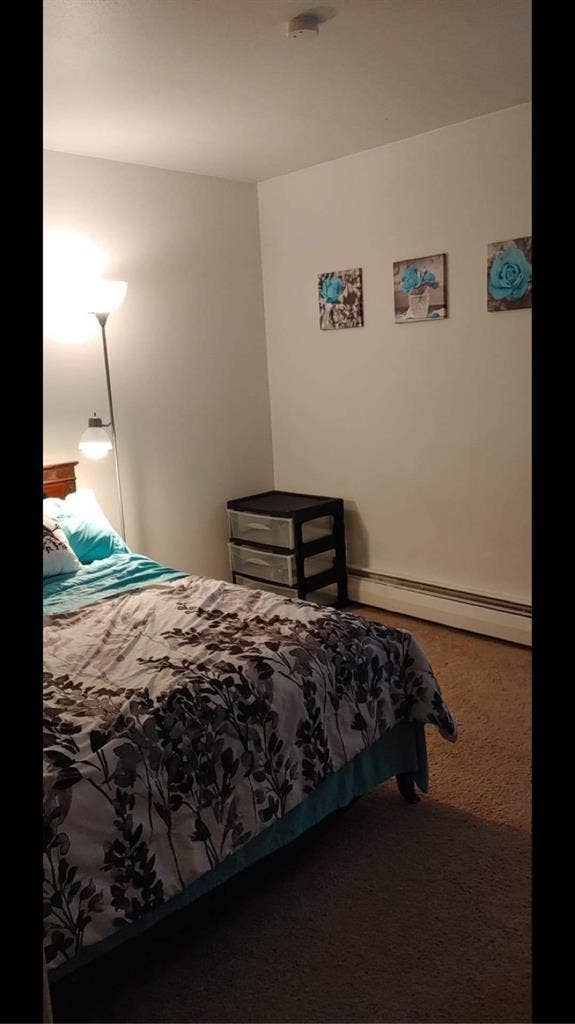 Room available in two bedroom apt