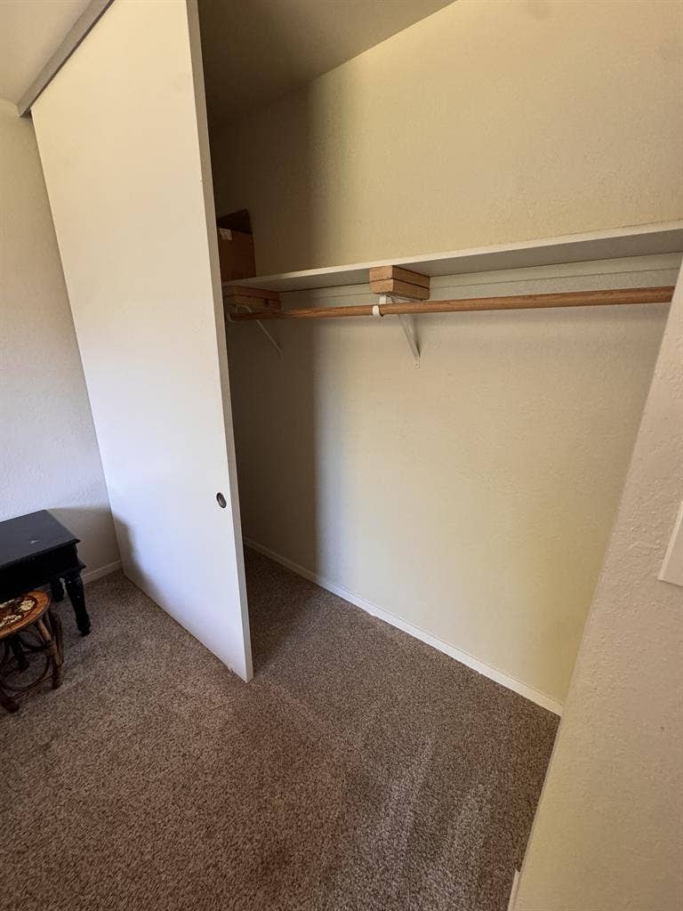 Sunny garden-view room for rent