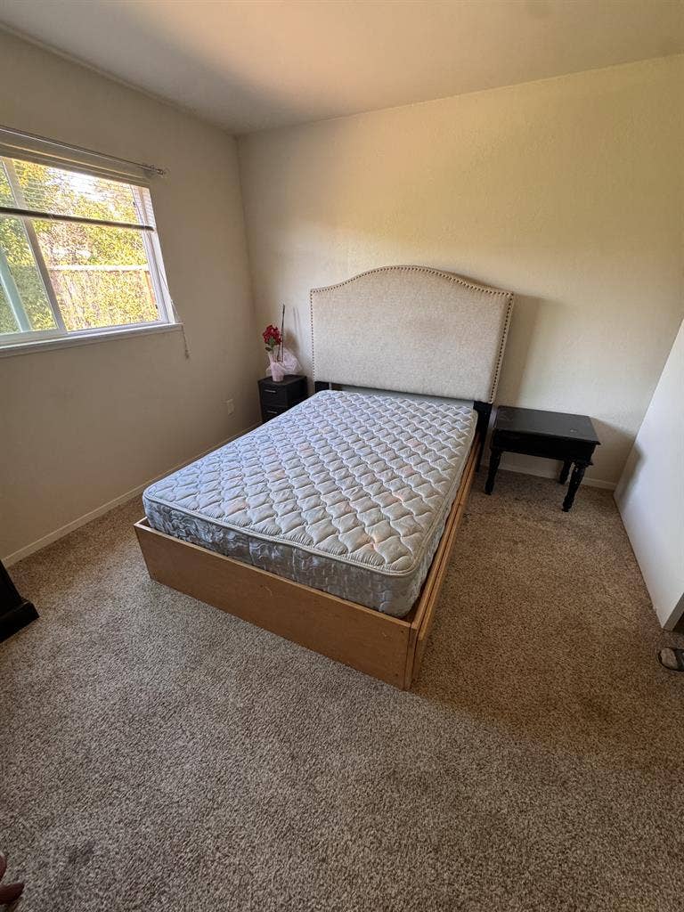 Sunny garden-view room for rent