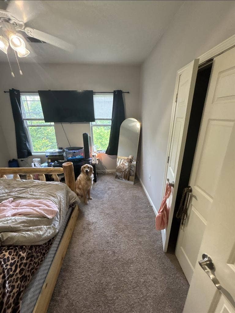 Looking for new roommate by july