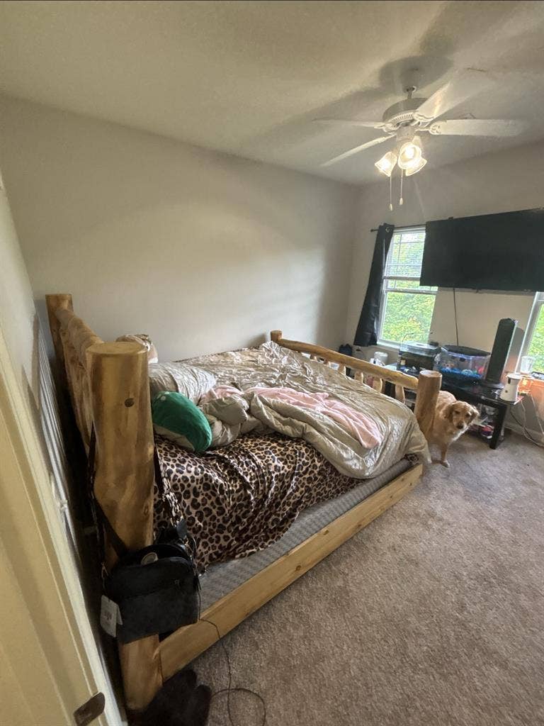 Looking for new roommate by july