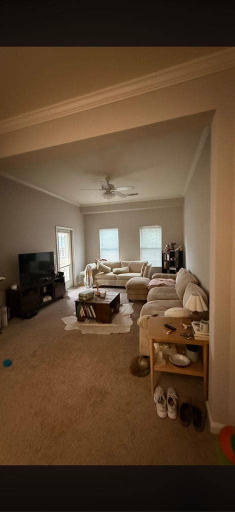Looking for new roommate by july